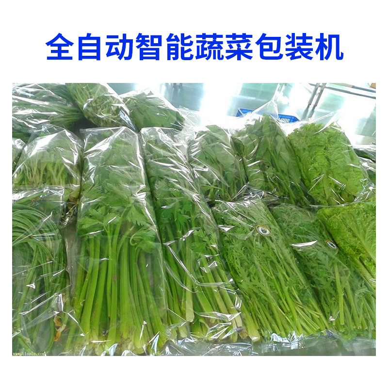 ZS-700蔬菜自动包装称重贴标系统